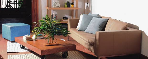 Ideas y tendencias |