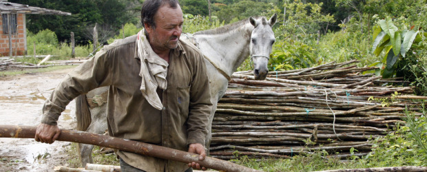 Cosiaca quitó minas y sembró esperanza | Jaime Pérez | Cosiaca no tiene esposa. Cuenta que se ha salvado de morir por la explosión de las minas muchas veces. La última vez fue cuando pasó por encima de una mina con una recua de mulas y el último animal accionó el artefacto.