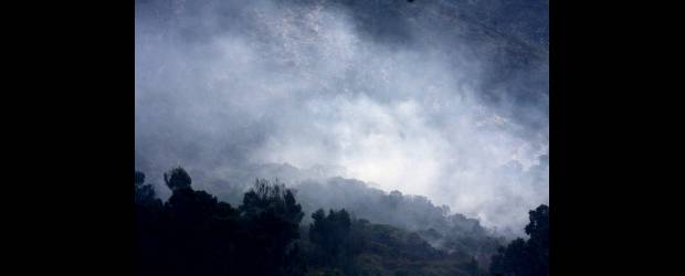 Incendios forestales, casi 30 mil hectáreas arrasadas | Raúl Palacios, Colprensa-Bogotá | Según el Ideam, en Colombia hay 24 departamentos en alerta por el impacto que puede causar en el clima el fenómeno de El Niño. Las altas temperaturas dejan casi 30 mil hectáreas arrasadas por incendios forestales.