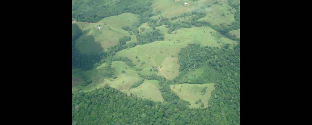 Países dan primer paso en mecanismo REDD+ | Cortesía Sinchi | Deforestación en la Amazonia colombiana. No es tan alta como en otros países, pero el riesgo es claro. Colombia reclama recursos por este concepto.