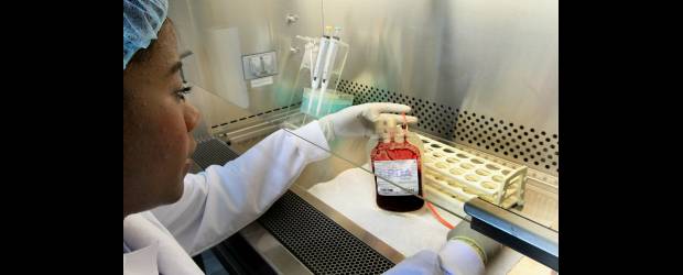 Células madre curaron VIH | Archivo | Una persona de 25 años diagnosticada hoy con el VIH tiene una probabilidad razonablemente buena de vivir hasta los 80, 85 ó 90, dicen especialistas.