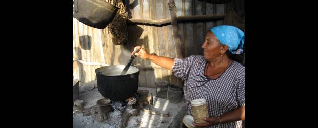 En la Nacional diseñan fogones saludables | Cortesía Agencia de Noticias Universidad Nacional | 20 por ciento de las familias del país cocinan con carbón de leña. De esa cifra, el 70% son pobladores rurales y el 10% vive en pobreza en las ciudades