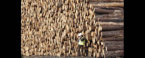 El trabajo eficiente | Reuters |