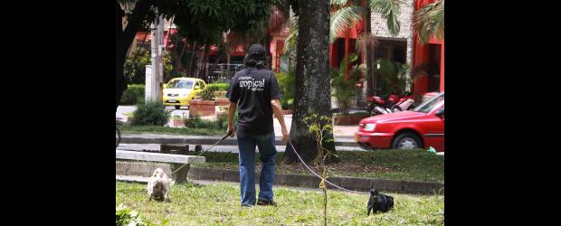 De Laureles se aprovechan los amigos de lo ajeno | Róbinson Sáenz | En sitios públicos como el primer parque de Laureles, los vecinos piden mayor acompañamiento de la Policía; temen por el asedio frecuente de los ladrones y se quejan por la venta y el consumo de estupefacientes.