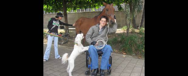 Álvaro salva vidas animales | Cortesía | Tornillo fue el último caballo excochero que se entregó en adopción. "Tenía anemia infecciosa equina. Esto me obligó a buscarle un adoptante en tierra fría donde no existe la mosca Tábano transmisora de la enfermedad. Hoy vive a sus anchas en el Oriente antioqueño con una familia maravillosa": Álvaro Múnera.