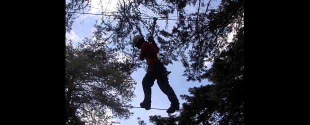 Fin de puente en medio de la naturaleza |