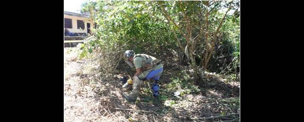 Retorno en vereda por desminado | Cortesia | Los soldados trabajaron durante 14 meses para limpiar de minas antipersonal la vereda El Boquerón, en San Francisco. Allí retornaron 43 familias.