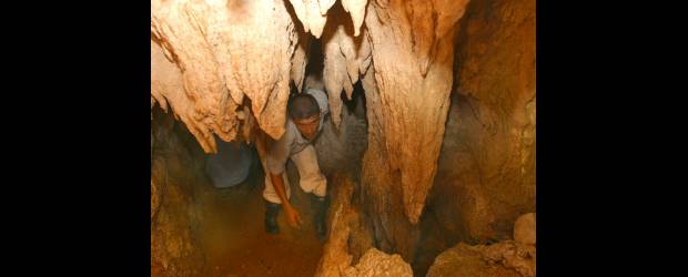 En las entrañas de Maceo | Archivo | Paisajes subterráneos se pueden ver en Las Cavernas del río Alicante. Para verlos hay que reptar y llenarse de barro. Una experiencia muy aventurera.
