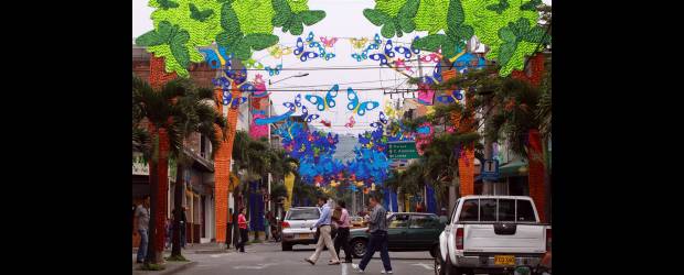 En Envigado ya montaron su show de luces | Manuel Saldarriaga | En Envigado comenzó, desde hace quince días, la instalación de los alumbrados navideños. El 26 de noviembre será la inauguración.