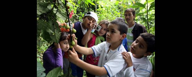 Yarumalito, donde nace la niebla y los niños estudian | Róbinson Sáenz | Los 30 niños son casi expertos en el ecosistema en que se mueven, lo conocen y lo investigan.