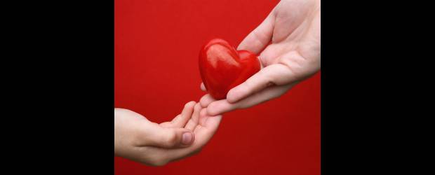 Donar es un regalo que salva vidas | | En la ciudad, los trasplantes que se practican con más frecuencia son en su orden: riñón, hígado, páncreas, intestino y corazón.