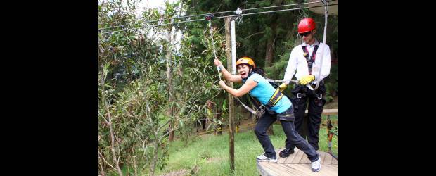 Opciones ecológicas para este puente
