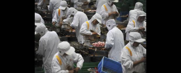 Las estrellas fueron emergentes | Reuters, Xiajing-China | La fuerza laboral de China, así como el creciente consumo de este país, fueron un motor de desarrollo mundial.