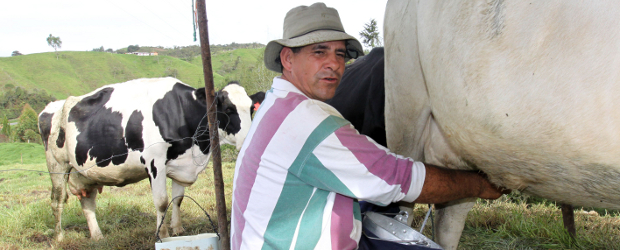 Sobra leche, pero el precio no baja |