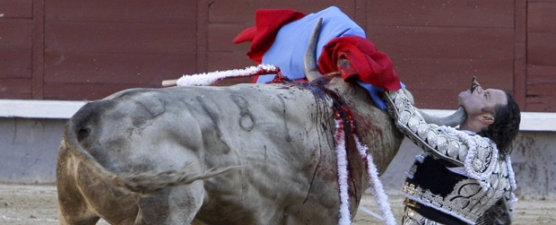 Torero Julio Aparicio sufre infección | AP | El matador Julio Aparicio volvió ser ingresado en una unidad de cuidados intensivos, debido a la cornada.