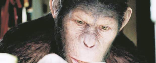 Un rostro, muchos personajes | Cortesía | La técnica performance capture capta con precisión los movimientos faciales de los personajes. Por primera vez se utilizó en iluminaciones naturales.