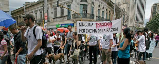 Colombianos marcharon contra el maltrato de los animales | Colprensa | La cuarta versión de la Marcha Mundial Contra el Maltrato a los Animales se realizó este domingo en las principales ciudades del país.