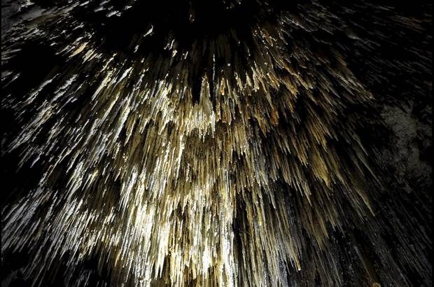 Cortes&#237;a - Del techo cuelgan estalactitas y del suelo se vislumbran estalagmitas con brillos naturales sorprendentes que a veces parecen cuarzos que forman rugosidades de distintas formas y tama&#241;os.