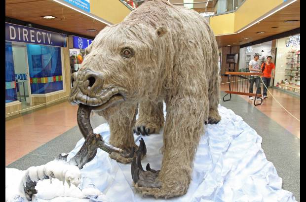 Juan Fernando Cano - Perezoso terrestre (Megatherium americanum), se encontraba en las estepas cubiertas y en los bosques de Am&#233;rica del Sur. N&#243;tese el tama&#241;o de las u&#241;as.