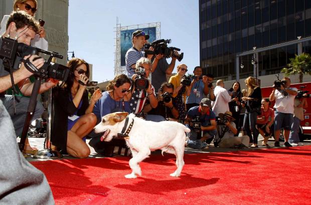 Reuters - Adem&#225;s el pasado mes de febrero fue galardonado con el Collar de Oro de Hollywood.