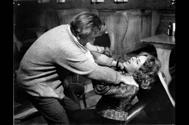 Die bergkatze - La comedia alemana El gato Montés, se sitúa en las montañas de un país ficticio donde los habitantes de un fuerte militar tienen que defenderse de los ataques de una cuadrilla de bandoleros. La encargada de dirigir a esta cuadrilla es la hija del bandolero jefe, Rischka, que precisamente acaba enamorándose del joven y mujeriego teniente Alexis