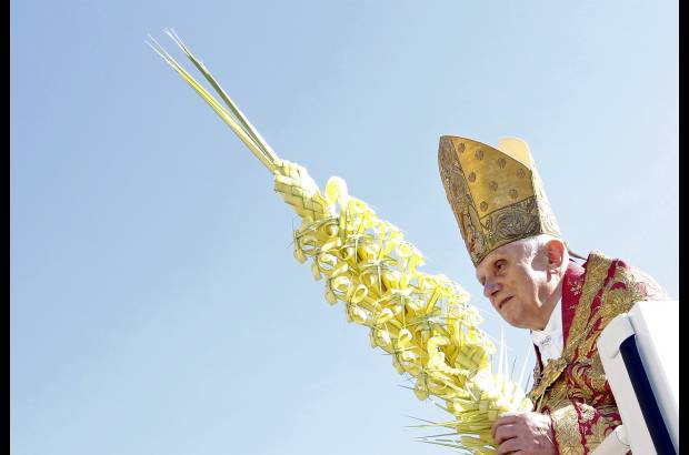 Reuters - La palma tejida que porta el Pont&#237;fice es un regalo de la localidad espa&#241;ola de Elche. Mide m&#225;s de dos metros de altura, pesa unos cinco kilogramos y est&#225; rematada por una insignia papal, formada por las llaves de San Pedro y la tiara.