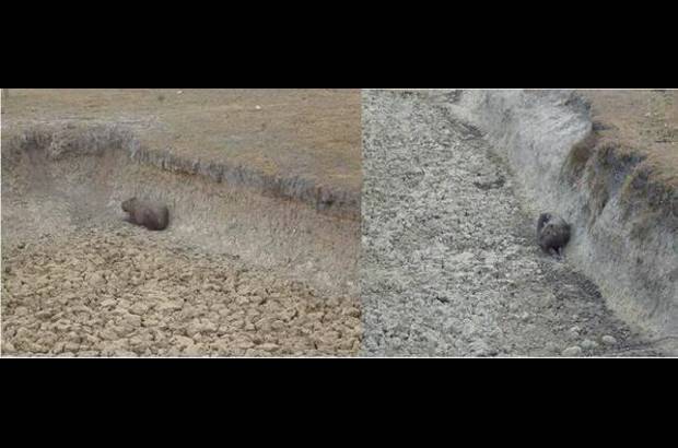 Foto: Heidy Puerta - El Secretario de Agricultura indicó que están trabajando en la conformación del nodo departamental de cambio climático, que va a estar coordinado con el nodo regional. En este punto ya existe un acuerdo en voluntades firmado por el gobernador.