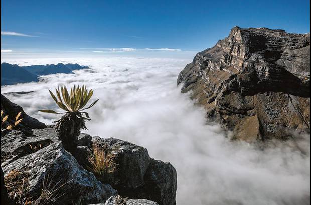 Colprensa - Estos ambientes extremos donde la vida es dif&#237;cil, est&#225;n llenos de magia y belleza.