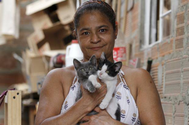 Donaldo Zuluaga - Dora recibe principalmente gatos beb&#233;s, para evitar conflictos con los m&#225;s grandes.