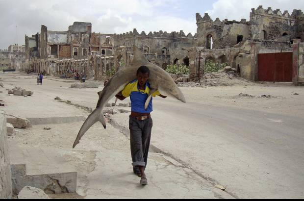 AP - El somalí Omar Feisal, de la agencia Reuters, ganó en la categoría Diario Único por una imagen que muestra la vida un hombre que lleva un tiburón por las calles de Mogadiscio, Somalia.