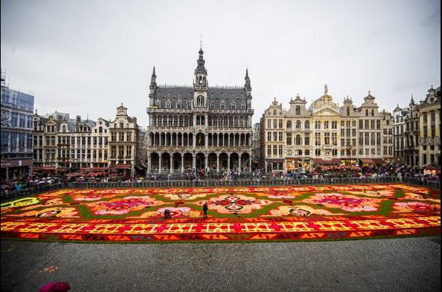 AFP - Un tapete de flores cubre La Gran Plaza de B&#233;lgica.