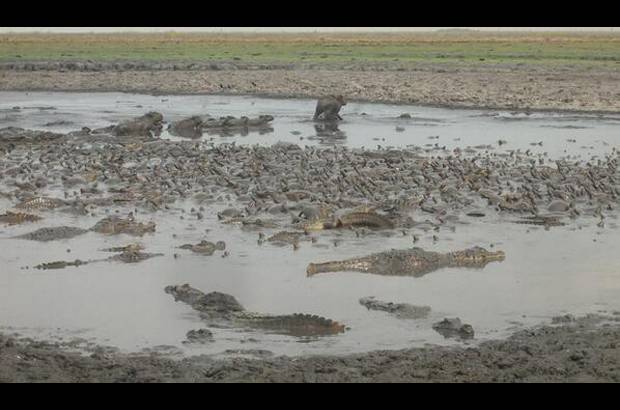 Foto: Heidy Puerta - El funcionario aseguró que también se tienen proyectadas tareas de protección, recuperación de las áreas afectadas, concientización y educación ambiental.
