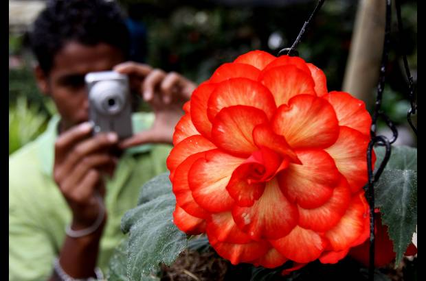 Donaldo Zuluaga - Entre las especies que se pueden apreciar en el Museo se encuentran cuna de Venus, boca ratón, campanitas de colibrí, calseudarias, petunias, bailarinas, pensamientos y rosas, entre otras.
