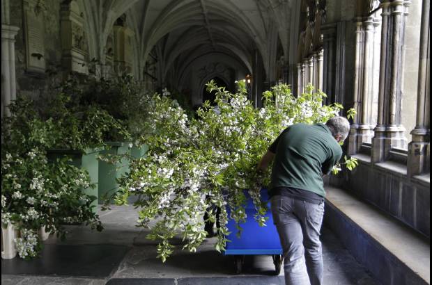 AP - Para la decoraci&#243;n de la iglesia se utilizar&#225;n m&#225;s de cuatro toneladas de follaje, incluidos ocho grandes &#225;rboles.