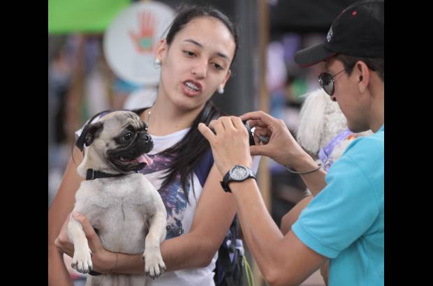 Hern&#225;n Vanega Ochoa - Encuentro de mascotas en el Jard&#237;n Bot&#225;nico de Medell&#237;n.