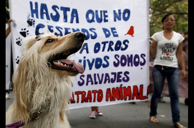 Julio C&#233;sar Herrera - Con consignas como &quot;somos la voz de los que no tienen voz&quot;, y &quot;defiendo, defiendo, defiendo la vida&quot;,...