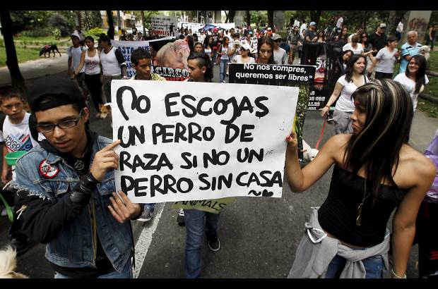 Julio C&#233;sar Herrera - Queda en manos del Congreso legislar para cambiar la Ley 84.