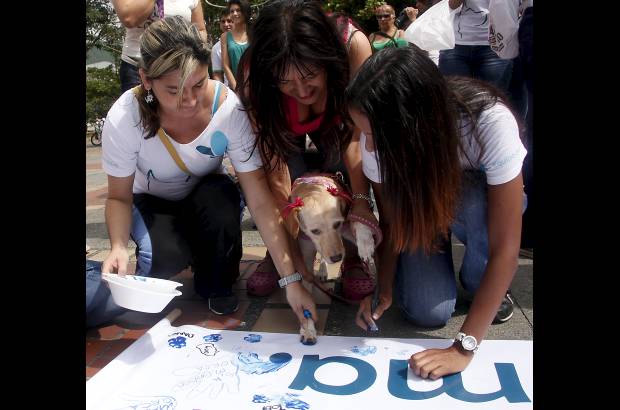 Julio C&#233;sar Herrera - Fue la tercera marcha animalista organizada por Orca, luego de las de 2011 y 2012.