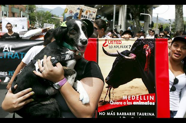 Julio C&#233;sar Herrera - que permite corridas de toros, rejoneo, coleo, novilladas, corralejas y ri&#241;as de gallos.