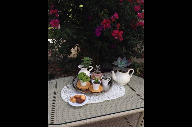 Eukaria Maticas - Objetos propios del hogar sirven como materas.