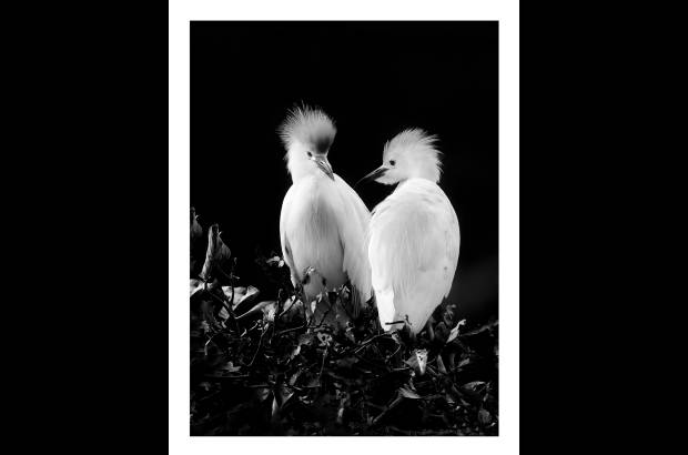 2015 Sony World Photography Awards - Fot&#243;grafo Elkin Restrepo Bedoya, Colombia.