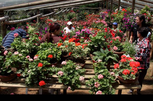 Donaldo Zuluaga - La Alcaldía de Medellín inauguró en el corregimiento de San Cristóbal el Museo Vivo de Las Flores.