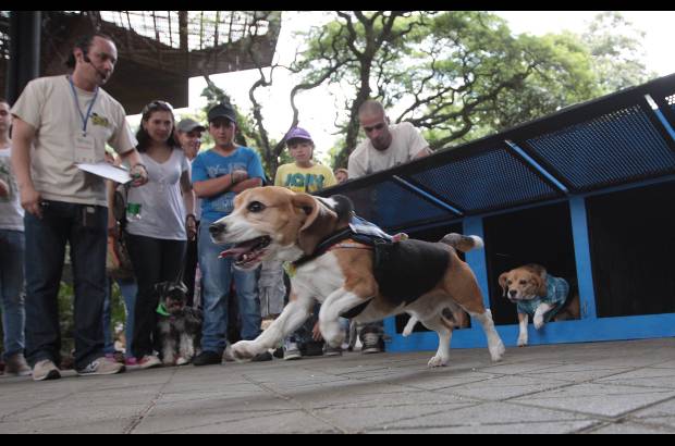 Hern&#225;n Vanegas Ochoa - Encuentro de mascotas en el Jard&#237;n Bot&#225;nico.