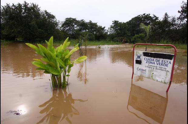 Colprensa - El agua, de más de un metro de altura, destruyó cultivos en Jamundí.