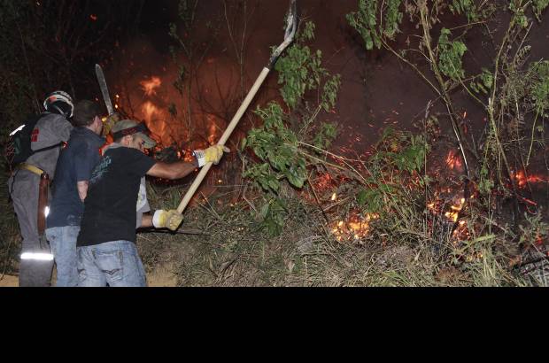 David S&#225;nchez - El director del Simpad aclar&#243; que no fue necesario apoyo a&#233;reo para sofocar las llamas y que los bomberos estar&#237;an en el sitio hasta controlar totalmente el incendio forestal. Agreg&#243; que &quot;las causas del incendio, hasta ayer, no fueron establecidas.