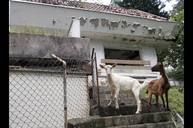 Jaime P&#233;rez - Esta es la vivienda que figura a nombre del exportero Ren&#233; Higuita. El predio, que se encuentra en proceso de extinci&#243;n de dominio, est&#225; abandonado desde hace varios a&#241;os. Esto se ha convertido en un problema permanente para los vecinos.