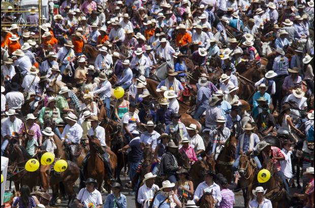 Esteban Vanegas - El bienestar de los caballos estuvo a cargo de un grupo de 250 veterinarios que a lo largo de todo el recorrido estuvo atento a proteger la integridad de los animales.
