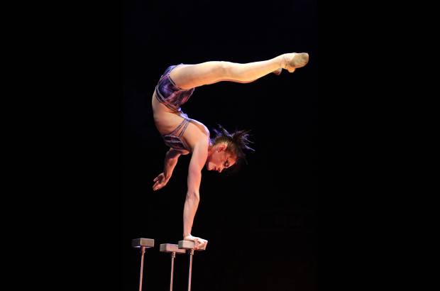 Colprensa - Se requiere de un &#225;rea de 17.000 metros cuadrados para instalar la carpa del Cirque du Soleil o la Grand Chapiteau.