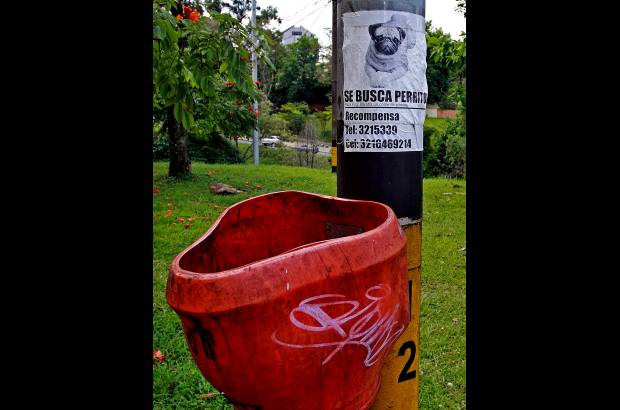 Henry Agudelo - Una búsqueda que el tiempo y la lluvia se encargan de borrar para dar paso a nuevos anuncios.