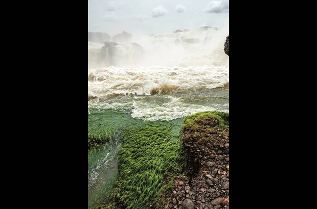 Colprensa - En esos lugares estuvieron el bi&#243;logo Juan Manuel D&#237;az Merlano y un equipo de fot&#243;grafos dirigidos por Ang&#233;lica Montes.